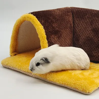 Zoomtopia Lit tunnel pour cochon d'Inde