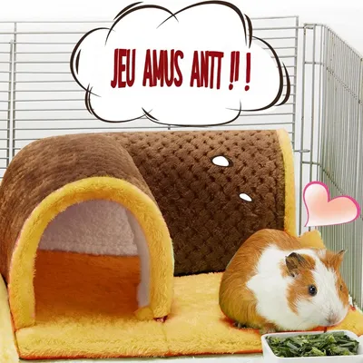 Zoomtopia Lit tunnel pour cochon d'Inde