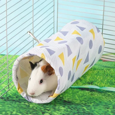 Zoomtopia Tunnel rond pour animaux