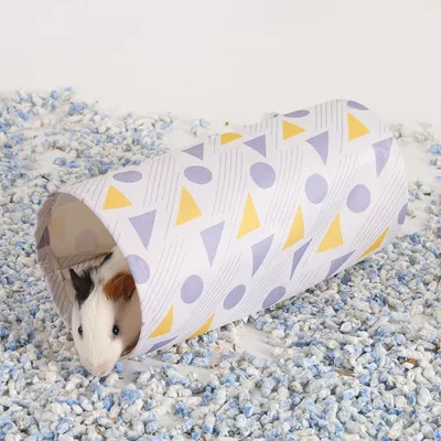 Zoomtopia Tunnel rond pour animaux