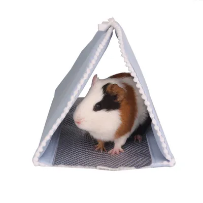 Zoomtopia Nid tunnel pour petits animaux