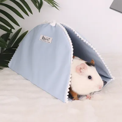 Zoomtopia Nid tunnel pour petits animaux