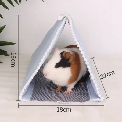 Zoomtopia Nid tunnel pour petits animaux