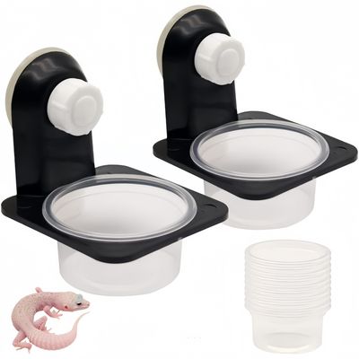ZooVenture Tasses d'alimentation pour reptiles
