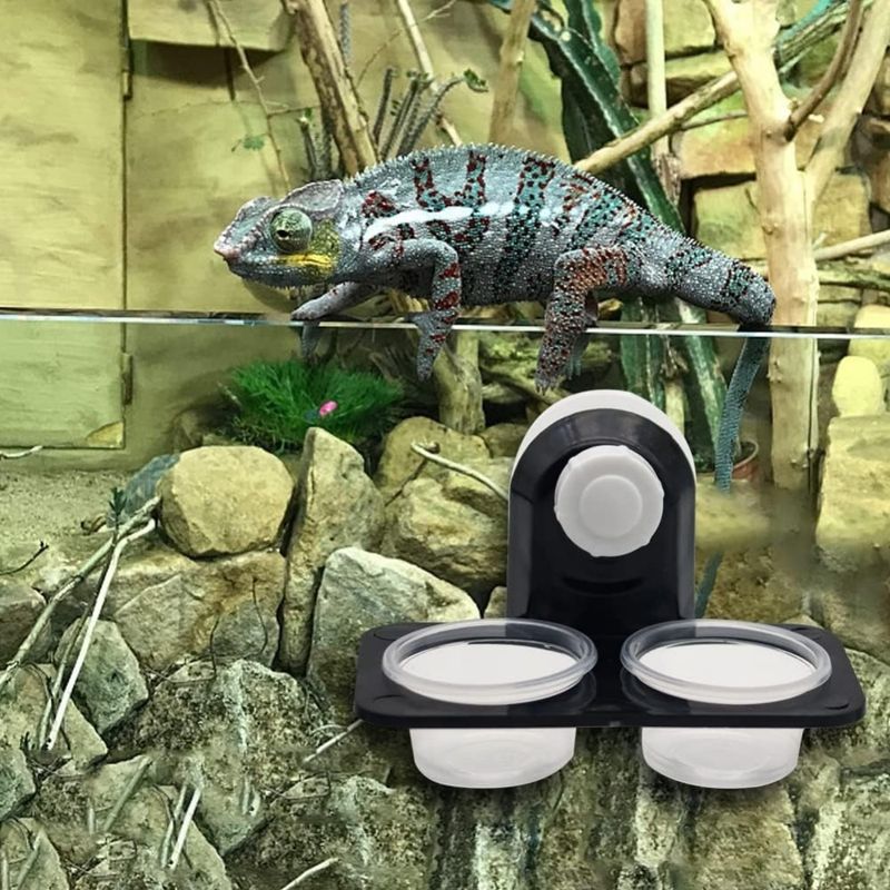 ZooVenture Tasses d'alimentation pour reptiles