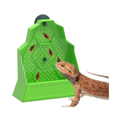 Zoomtopia Mangeoire murale pour reptiles