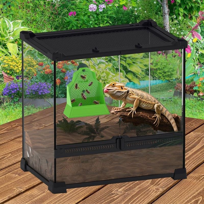 Zoomtopia Mangeoire murale pour reptiles