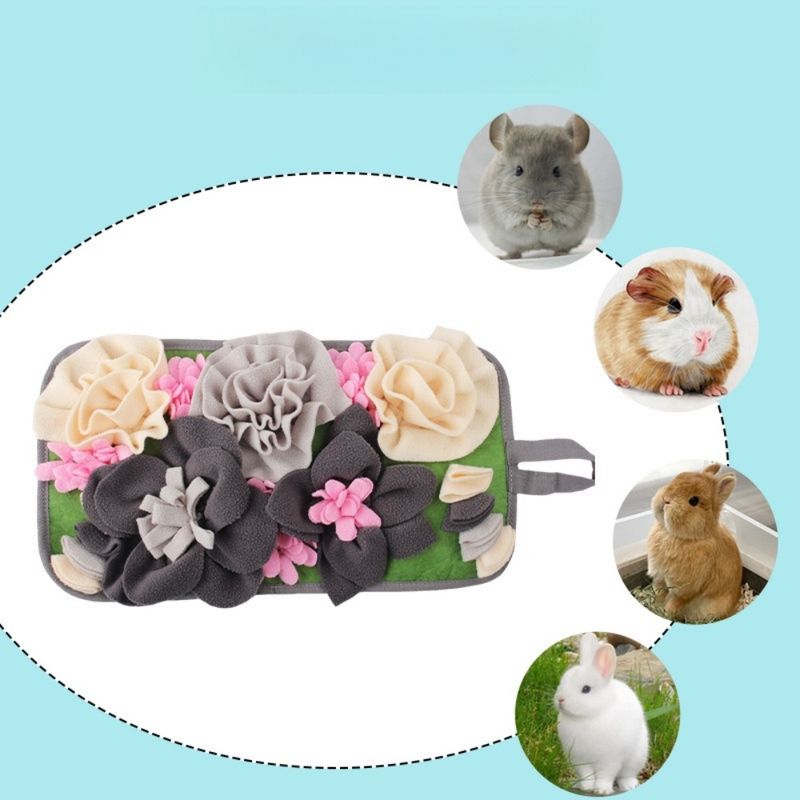 Zoomtopia Tapis odorant pour petits animaux