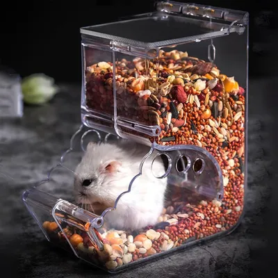 ZooVenture Distributeur Automatique De Nourriture Pour Petits Animaux