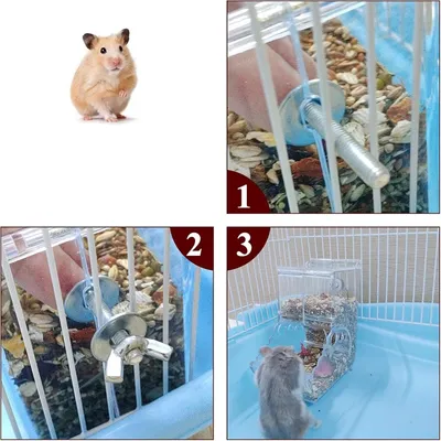 ZooVenture Distributeur Automatique De Nourriture Pour Petits Animaux