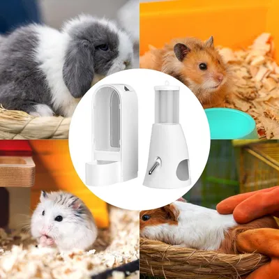 ZooVenture Distributeur de nourriture pour petits animaux