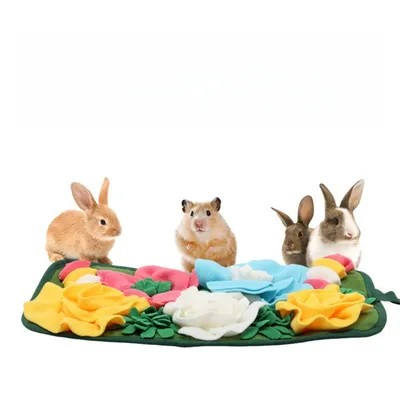 Zoomtopia Tapis odorant pour petits animaux