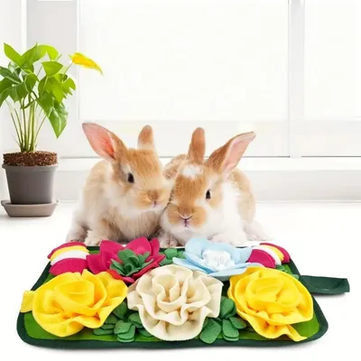 Zoomtopia Tapis odorant pour petits animaux