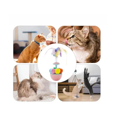 ZooVenture Mangeoire lente pour chat