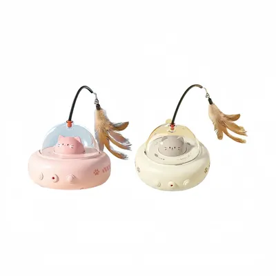 ZooVenture Jouet pour chat rechargeable 2 en 1