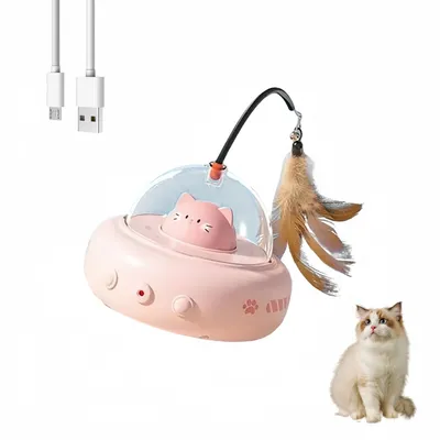 ZooVenture Jouet pour chat rechargeable 2 en 1