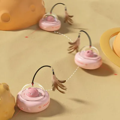 ZooVenture Jouet pour chat rechargeable 2 en 1