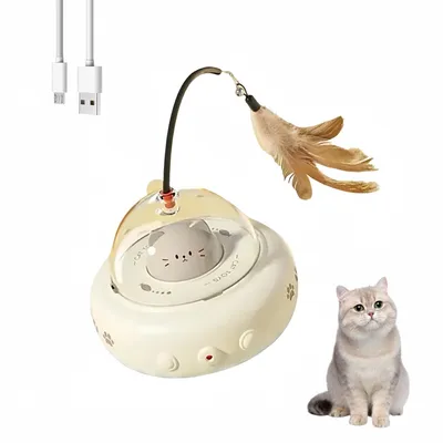 ZooVenture Jouet pour chat rechargeable 2 en 1