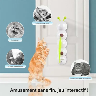Rocky Jouet de chat taquin électrique