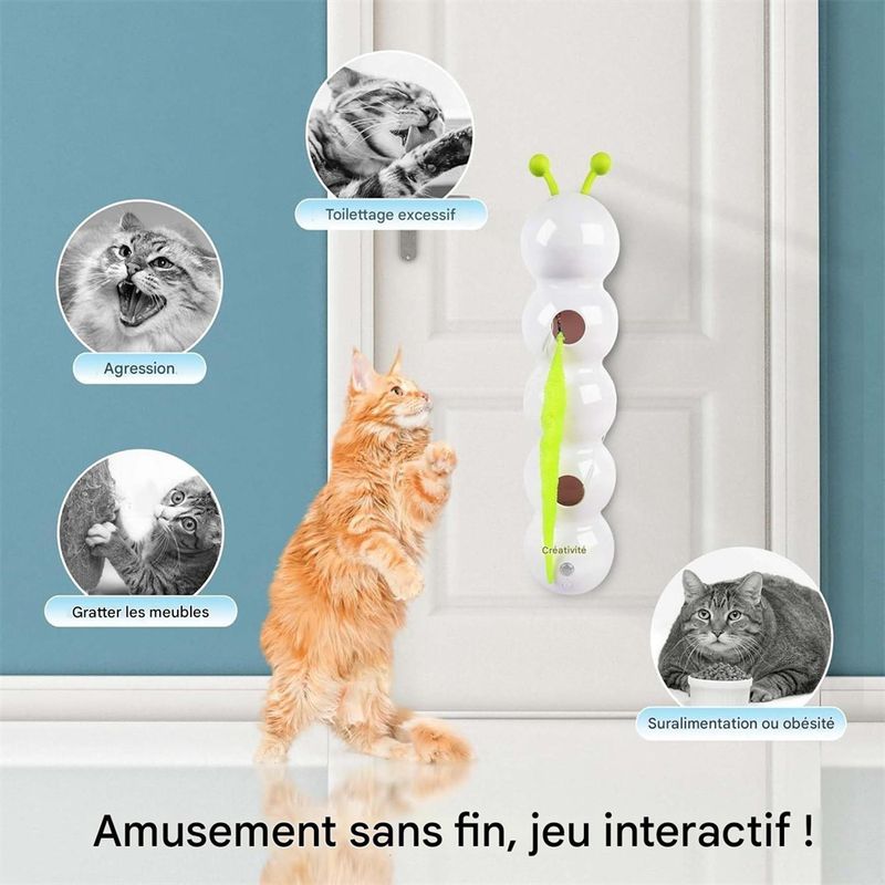 Rocky Jouet de chat taquin électrique