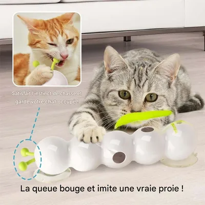 Rocky Jouet de chat taquin électrique