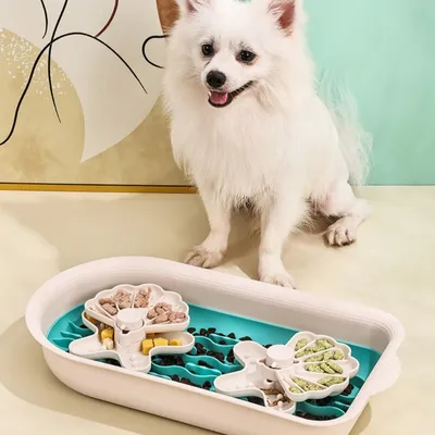 Zoomtopia Bol à chiens à ralentissement lent multifonctionnel Zoomtopia Bol à chiens à ralentissement lent multifonctionnel
