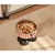 Zoomtopia  Gamelle ergonomique premium pour chien et chat