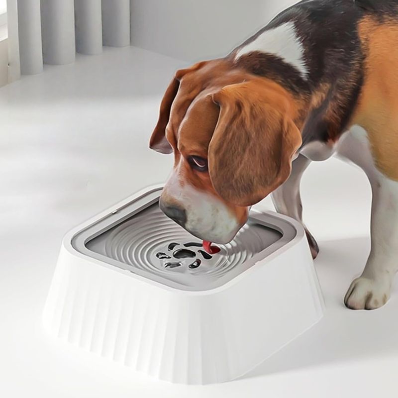 ZooVenture Gamelle anti-fuite pour chien 1,3 L