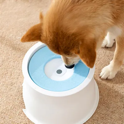 ZooVenture Comedero a prueba de salpicaduras y fugas para perros y gatos