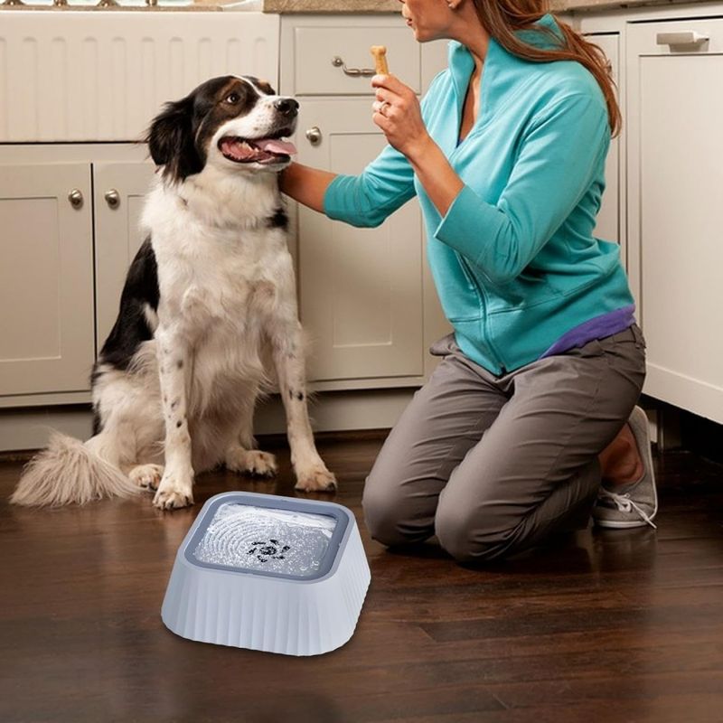 ZooVenture Gamelle anti-fuite pour chien 1,3 L