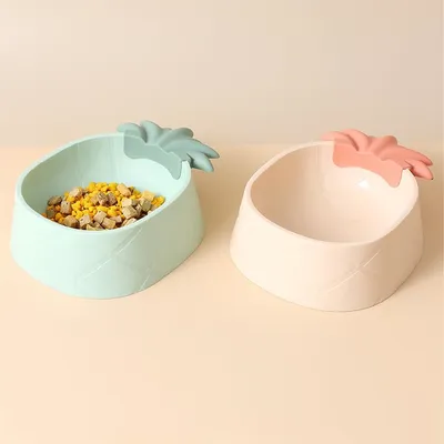 Rocky Gamelle pour chien et chat