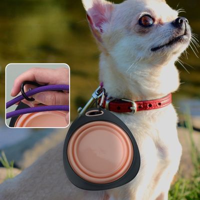Zoomtopia Bol pliable pour chien