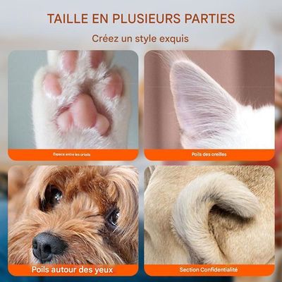 Rocky Tondeuse pour animal