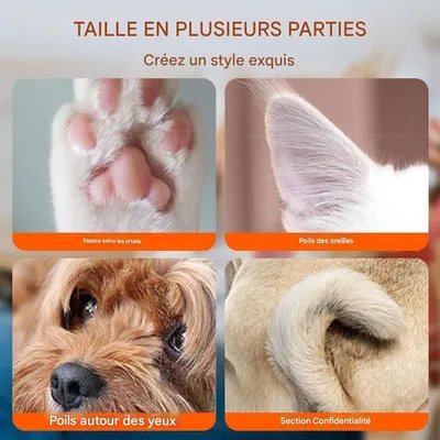 Rocky Tondeuse pour animal