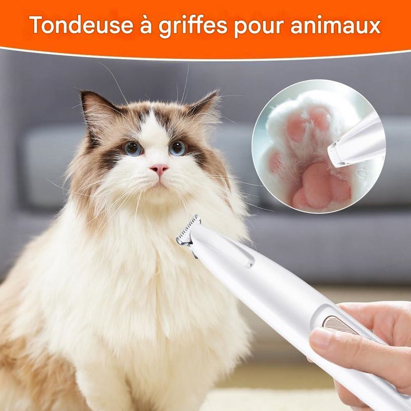 Rocky Tondeuse pour animal
