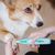 Rocky Tondeuse pour chien