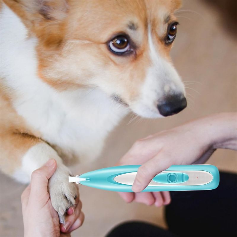 Rocky Tondeuse pour chien