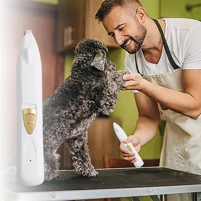 Rocky Tondeuse pour chiens