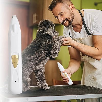 Rocky Tondeuse pour chiens