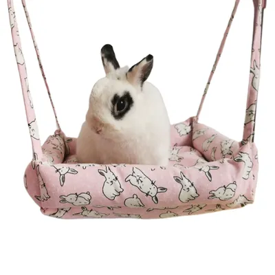 Zoomtopia Hamac suspendu pour lapin