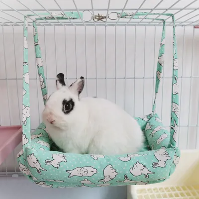 Zoomtopia Hamac suspendu pour lapin