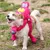 ZooVenture Strapazierfähiges Plüsch-Hundespielzeug ZooVenture Strapazierfähiges Plüsch-Hundespielzeug