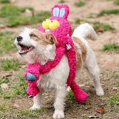 ZooVenture Strapazierfähiges Plüsch-Hundespielzeug ZooVenture Strapazierfähiges Plüsch-Hundespielzeug