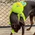 ZooVenture Strapazierfähiges Plüsch-Hundespielzeug