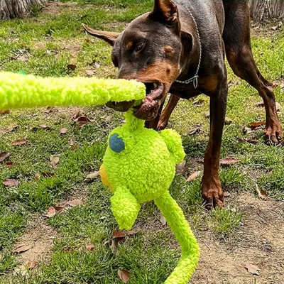 ZooVenture Strapazierfähiges Plüsch-Hundespielzeug