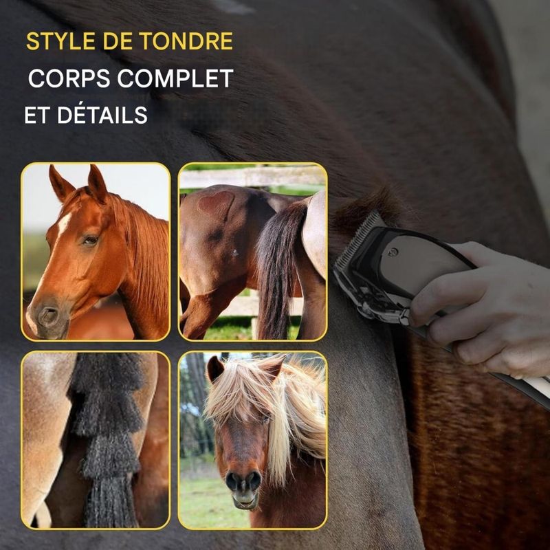ZooVenture Tondeuse sans fil pour chevaux chiens chats