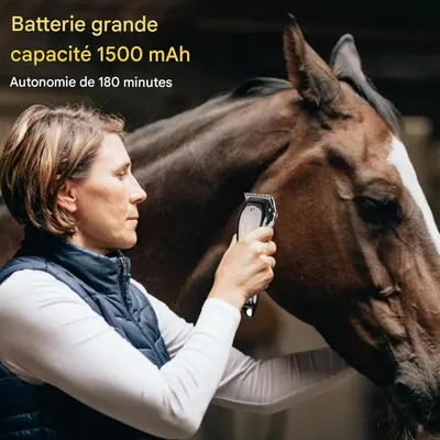 ZooVenture Tondeuse sans fil pour chevaux chiens chats