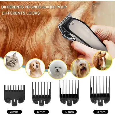 ZooVenture Tondeuse sans fil pour chevaux chiens chats