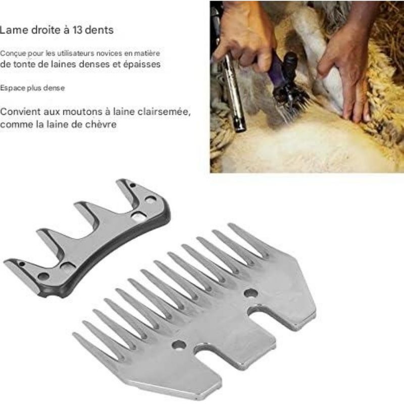 ZooVenture Lames De Cisailles À 13 Dents Pour Mouton Chèvre Alpaga