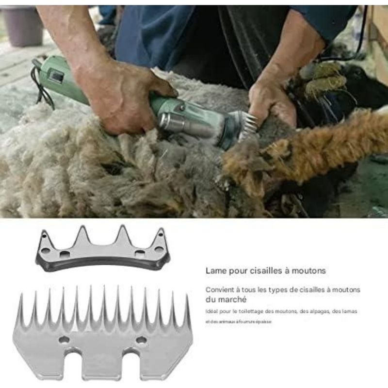 ZooVenture Lames De Cisailles À 13 Dents Pour Mouton Chèvre Alpaga
